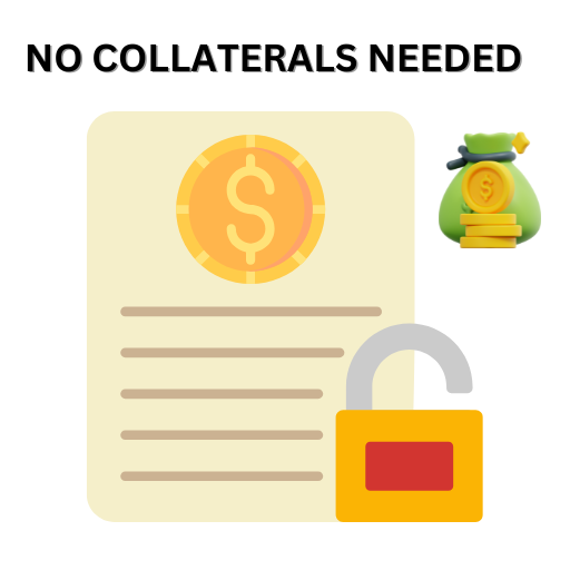 UNSECURED BUSINESS LOAN